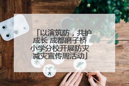 以演筑防，共护成长 成都磨子桥小学分校开展防灾减灾宣传周活动