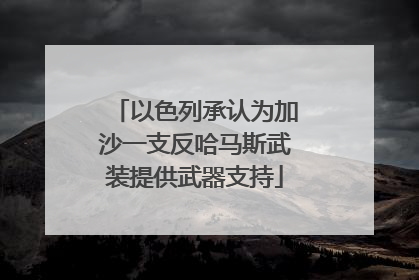 以色列承认为加沙一支反哈马斯武装提供武器支持