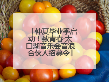 仲夏毕业季启动！致青春·太白湖音乐会音浪合伙人招募令