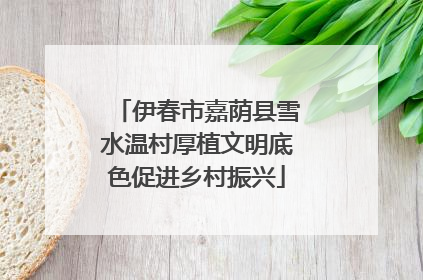 伊春市嘉荫县雪水温村厚植文明底色促进乡村振兴