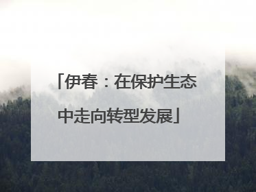 伊春：在保护生态中走向转型发展