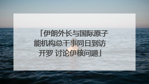 伊朗外长与国际原子能机构总干事同日到访开罗 讨论伊核问题