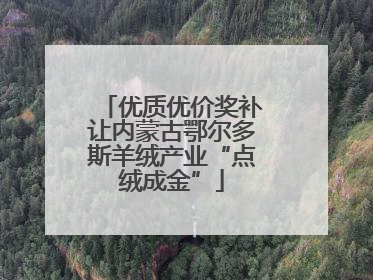 优质优价奖补让内蒙古鄂尔多斯羊绒产业“点绒成金”