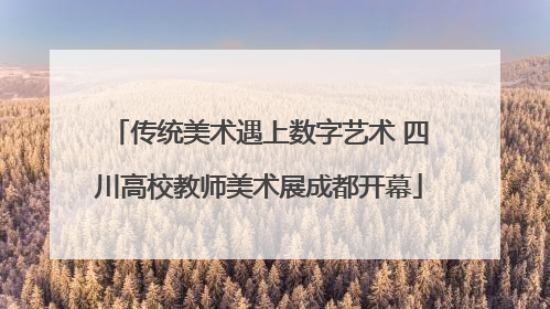 传统美术遇上数字艺术 四川高校教师美术展成都开幕