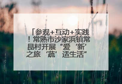 参观+互动+实践！常熟市沙家浜镇常昆村开展“爱‘新’之旅‘蔬’适生活”参观学习活动