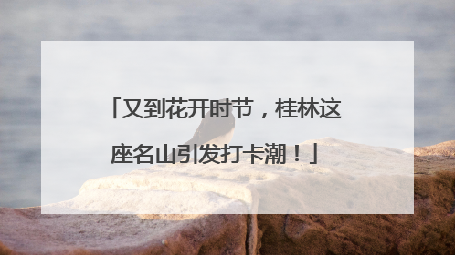 又到花开时节，桂林这座名山引发打卡潮！