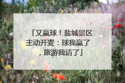 又赢球！盐城景区主动开麦：球我赢了，旅游我请了