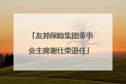 友邦保险集团董事会主席谢仕荣退任
