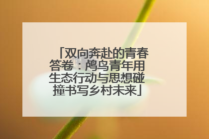 双向奔赴的青春答卷：鸬鸟青年用生态行动与思想碰撞书写乡村未来