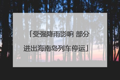 受强降雨影响 部分进出海南岛列车停运