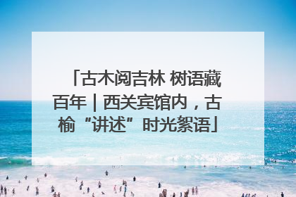 古木阅吉林 树语藏百年｜西关宾馆内，古榆“讲述”时光絮语