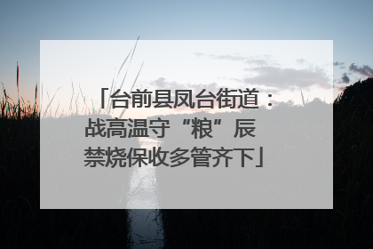 台前县凤台街道：战高温守“粮”辰 禁烧保收多管齐下