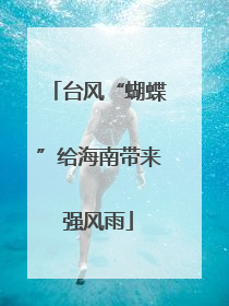 台风“蝴蝶”给海南带来强风雨