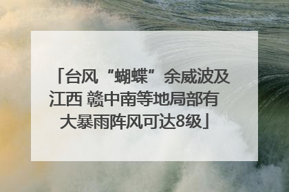 台风“蝴蝶”余威波及江西 赣中南等地局部有大暴雨阵风可达8级