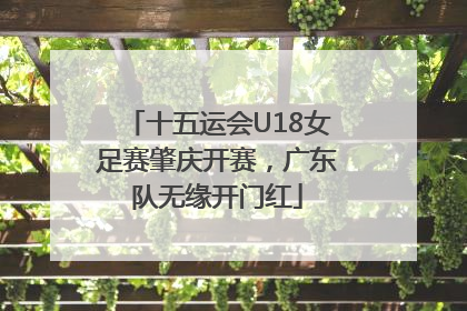 十五运会U18女足赛肇庆开赛，广东队无缘开门红