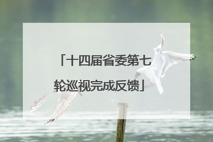十四届省委第七轮巡视完成反馈