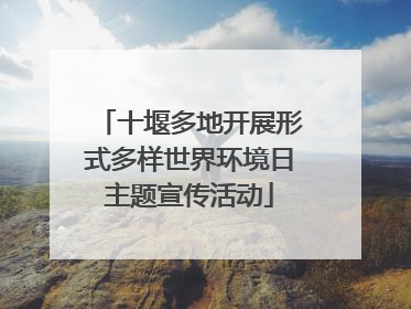 十堰多地开展形式多样世界环境日主题宣传活动