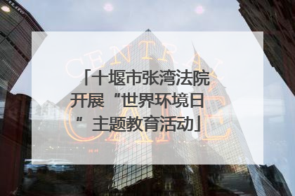 十堰市张湾法院开展“世界环境日”主题教育活动
