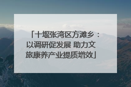 十堰张湾区方滩乡：以调研促发展 助力文旅康养产业提质增效