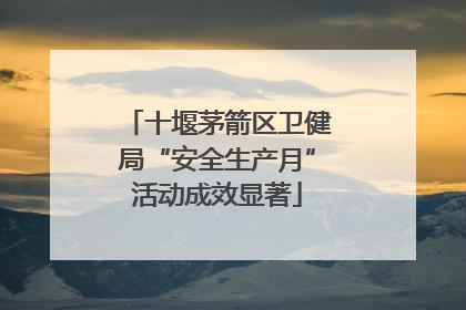 十堰茅箭区卫健局“安全生产月”活动成效显著
