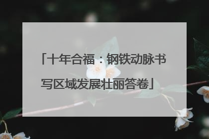 十年合福：钢铁动脉书写区域发展壮丽答卷