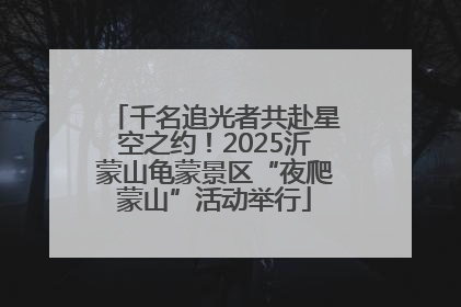 千名追光者共赴星空之约！2025沂蒙山龟蒙景区“夜爬蒙山”活动举行