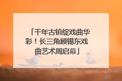 千年古镇绽戏曲华彩！长三角顾锡东戏曲艺术周启幕