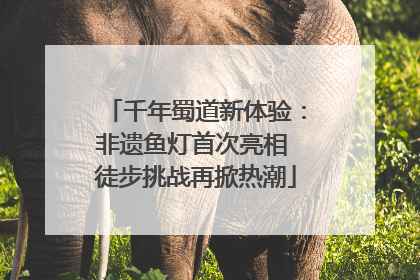千年蜀道新体验：非遗鱼灯首次亮相 徒步挑战再掀热潮