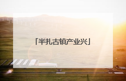 半扎古镇产业兴