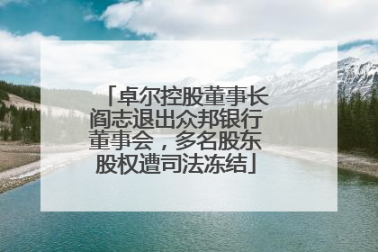 卓尔控股董事长阎志退出众邦银行董事会，多名股东股权遭司法冻结