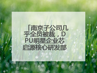 南京子公司几乎全员被裁，DPU明星企业芯启源核心研发部门已人去楼空