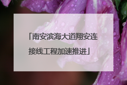 南安滨海大道翔安连接线工程加速推进