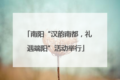 南阳“汉韵南都，礼遇端阳”活动举行