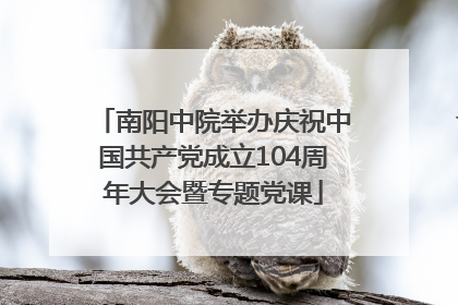 南阳中院举办庆祝中国共产党成立104周年大会暨专题党课