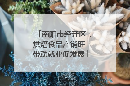 南阳市经开区：烘焙食品产销旺 带动就业促发展