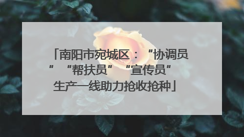 南阳市宛城区：“协调员”“帮扶员”“宣传员” 生产一线助力抢收抢种