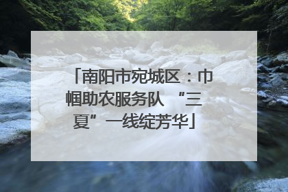 南阳市宛城区：巾帼助农服务队 “三夏”一线绽芳华