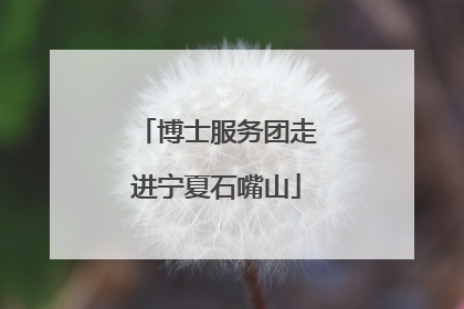 博士服务团走进宁夏石嘴山