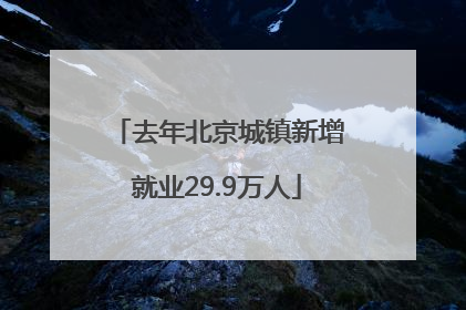 去年北京城镇新增就业29.9万人