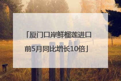厦门口岸鲜榴莲进口 前5月同比增长10倍