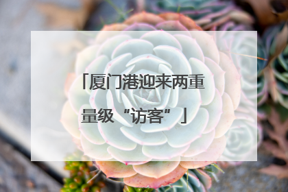 厦门港迎来两重量级“访客”