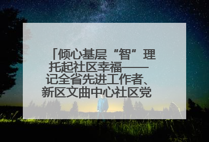 倾心基层“智”理 托起社区幸福——记全省先进工作者、新区文曲中心社区党委书记董世弘