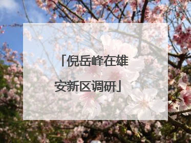 倪岳峰在雄安新区调研
