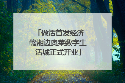 做活首发经济 赣湘边奥莱数字生活城正式开业