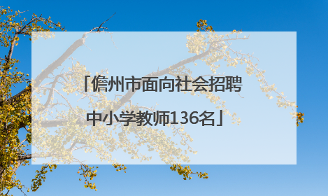 儋州市面向社会招聘中小学教师136名