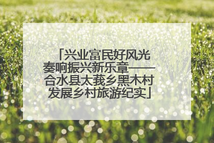 兴业富民好风光 奏响振兴新乐章——合水县太莪乡黑木村发展乡村旅游纪实