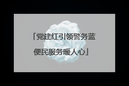 党建红引领警务蓝 便民服务暖人心