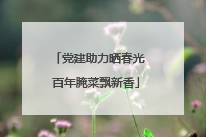 党建助力晒春光 百年腌菜飘新香