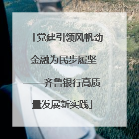 党建引领风帆劲 金融为民步履坚——齐鲁银行高质量发展新实践