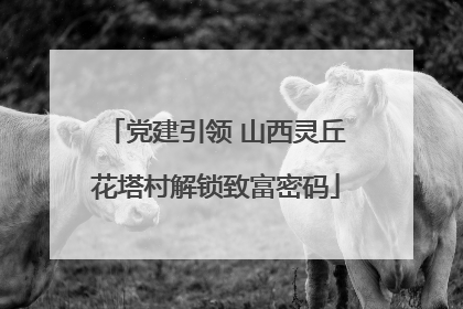 党建引领 山西灵丘花塔村解锁致富密码